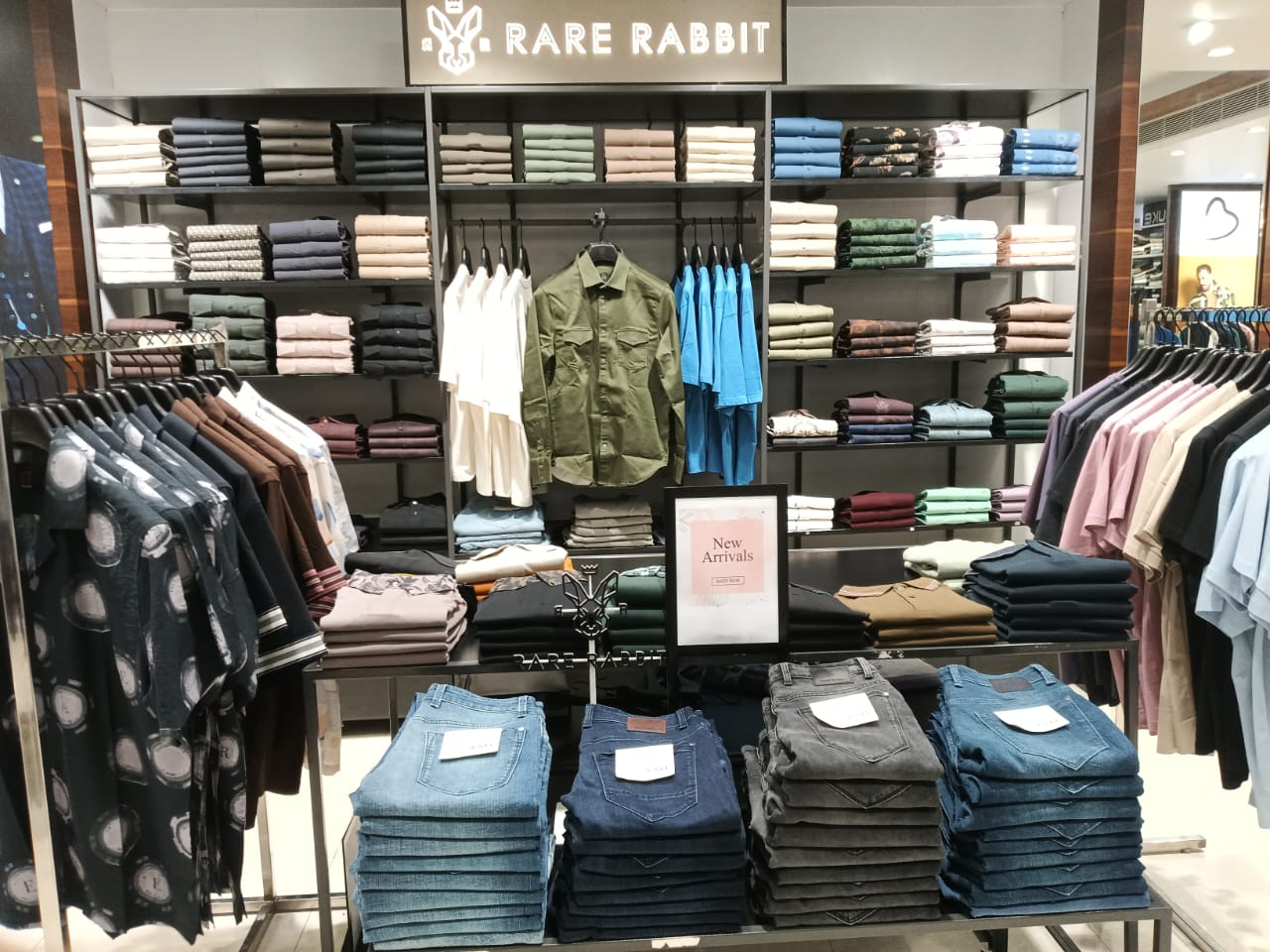 Rare rabbit store in Angul Odisha